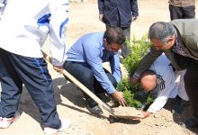 گزارش تصویری مراسم روز درخت کاری و تقدیر از نیروهای باغبانی دانشگاه
